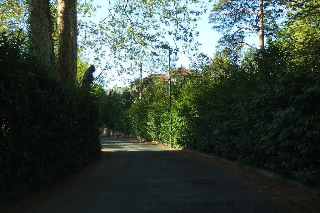 Errobi Alde Hotell Cambo-les-Bains Exteriör bild